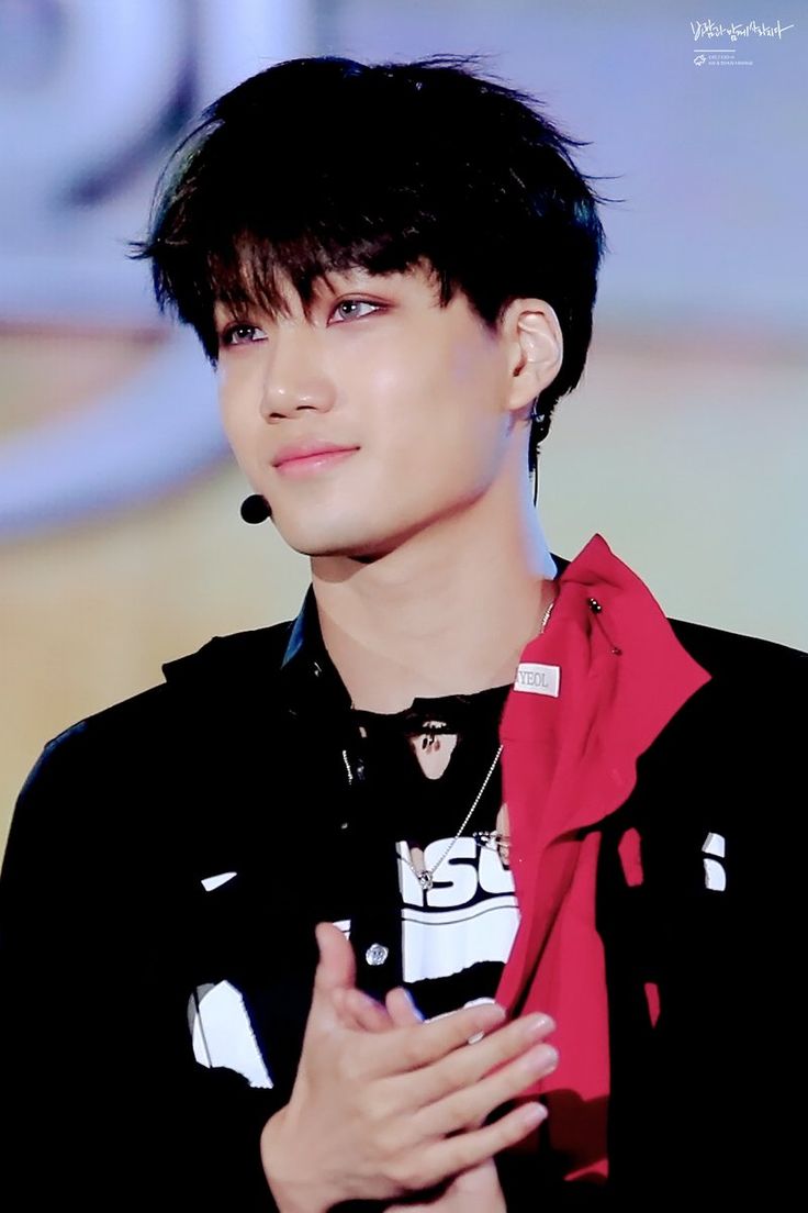 10 cosas que no sabías de cada miembro de EXO